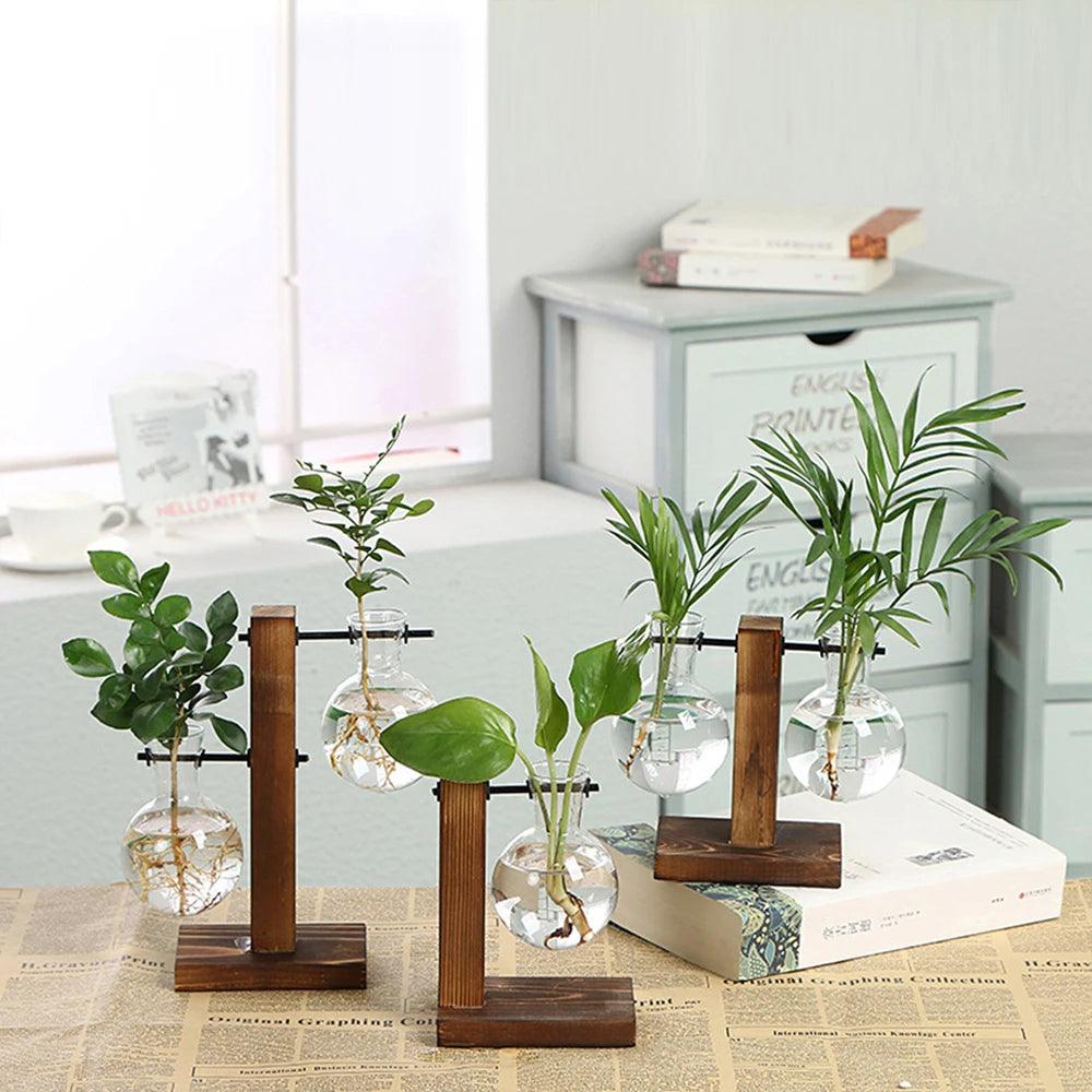 Arbor Propagation Station - Onyx Decor