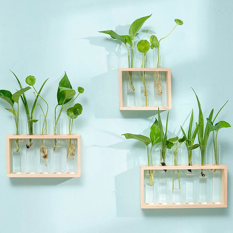 Eli Wooden Frame Hydroponic Propagation Vase - Onyx Decor