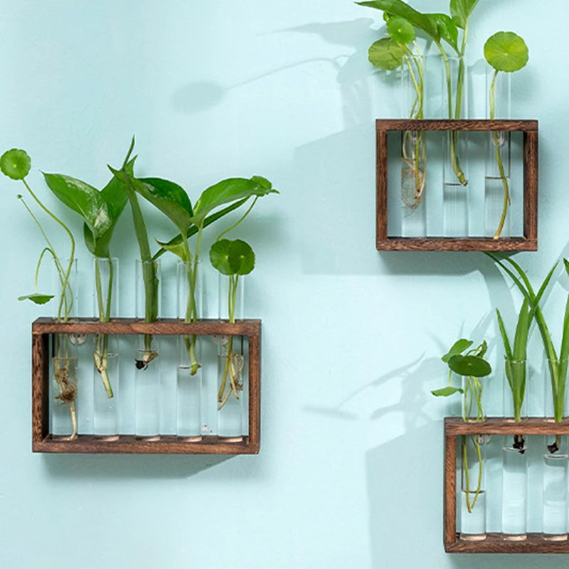Eli Wooden Frame Hydroponic Propagation Vase - Onyx Decor