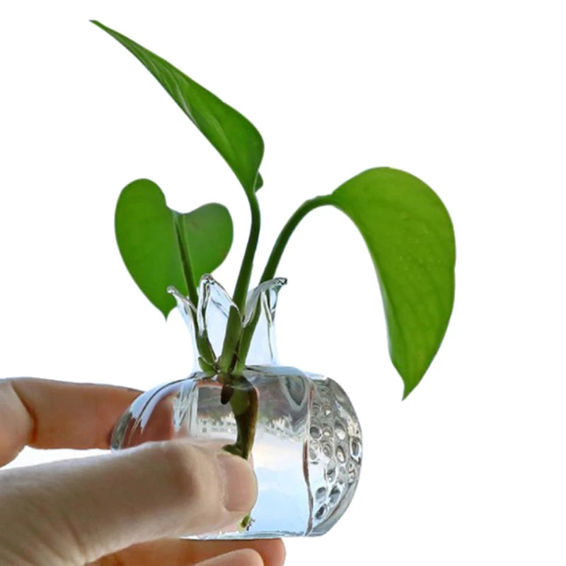 Nora Pomegranate Glass Propagation Vase - Onyx Decor