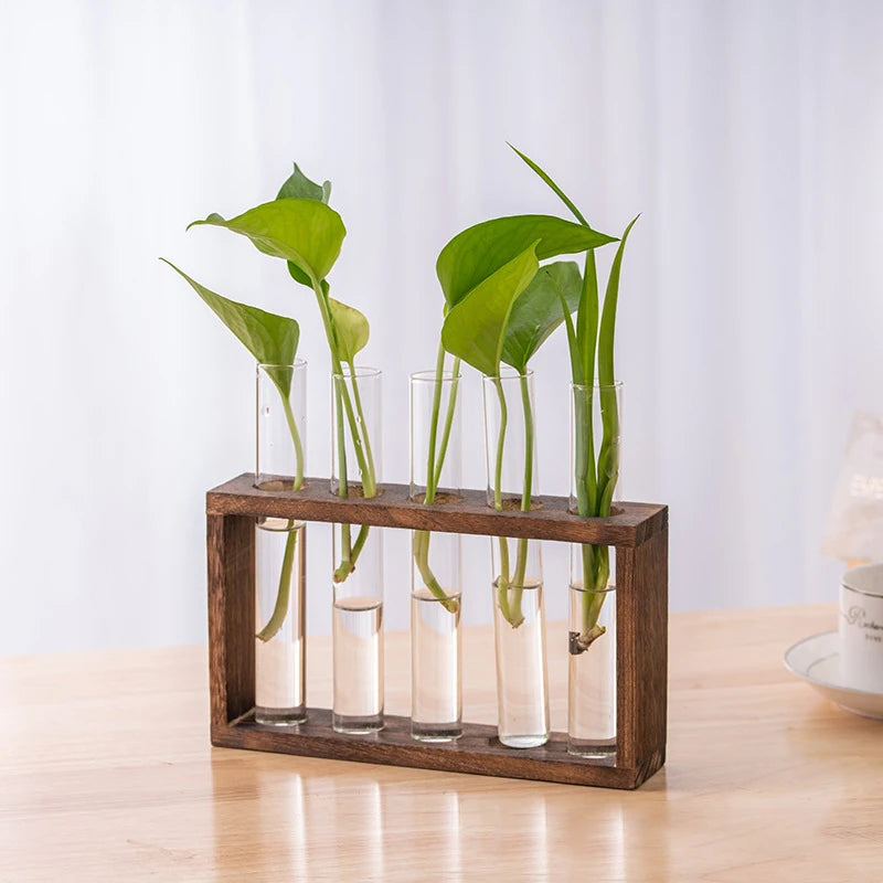 Eli Wooden Frame Hydroponic Propagation Vase - Onyx Decor