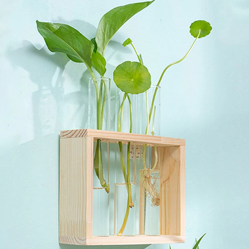 Eli Wooden Frame Hydroponic Propagation Vase - Onyx Decor