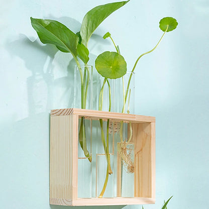 Eli Wooden Frame Hydroponic Propagation Vase - Onyx Decor
