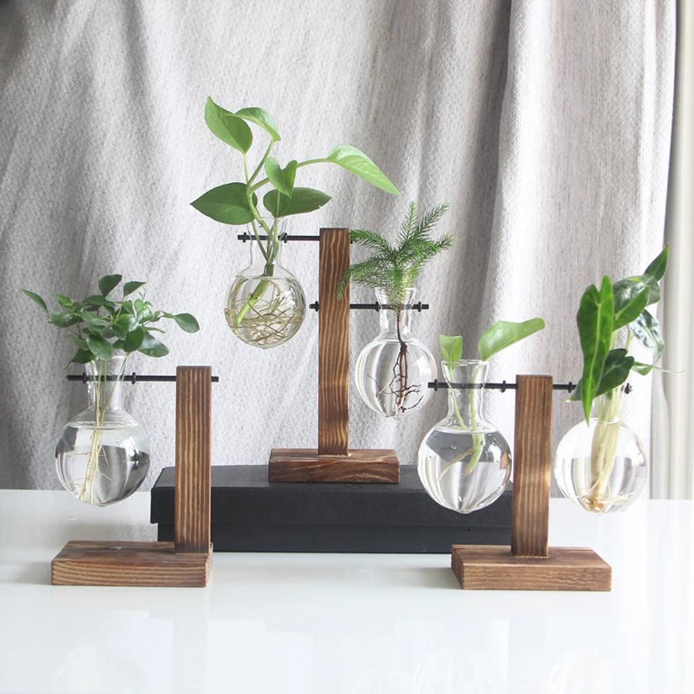 Arbor Propagation Station - Onyx Decor