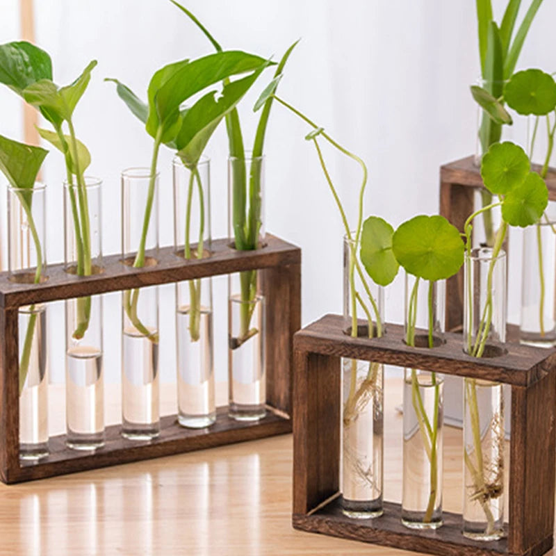 Eli Wooden Frame Hydroponic Propagation Vase - Onyx Decor