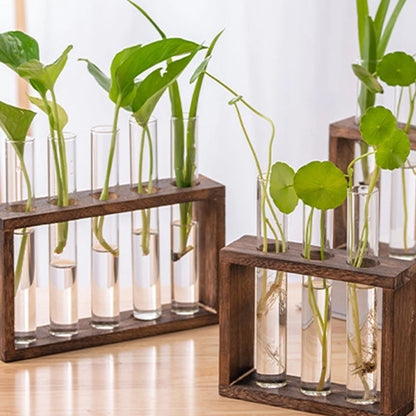 Eli Wooden Frame Hydroponic Propagation Vase - Onyx Decor