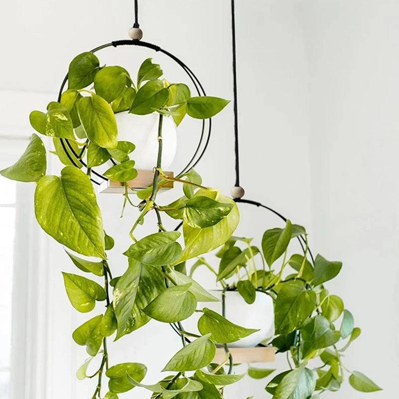 Manhattan Metal Hanging Planter - Onyx Decor